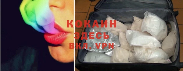 прущие грибы Лабытнанги