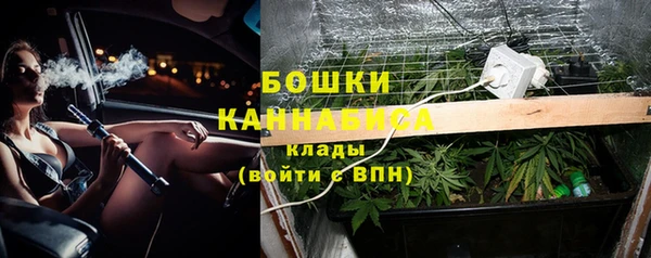 прущие грибы Лабытнанги
