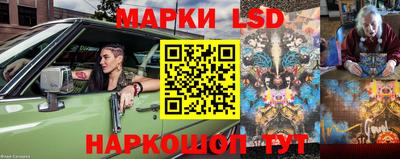 стаф Камышлов