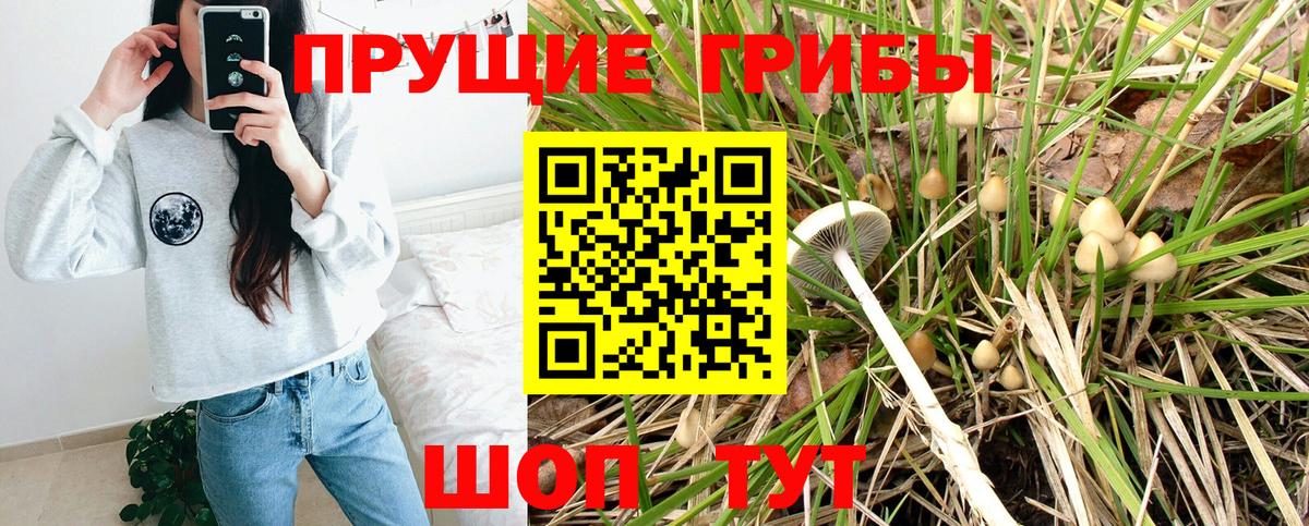 Псилоцибиновые грибы мухоморы  Вход с VPN  Михайловка 